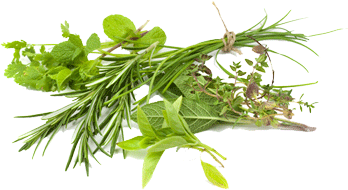 Herbs
